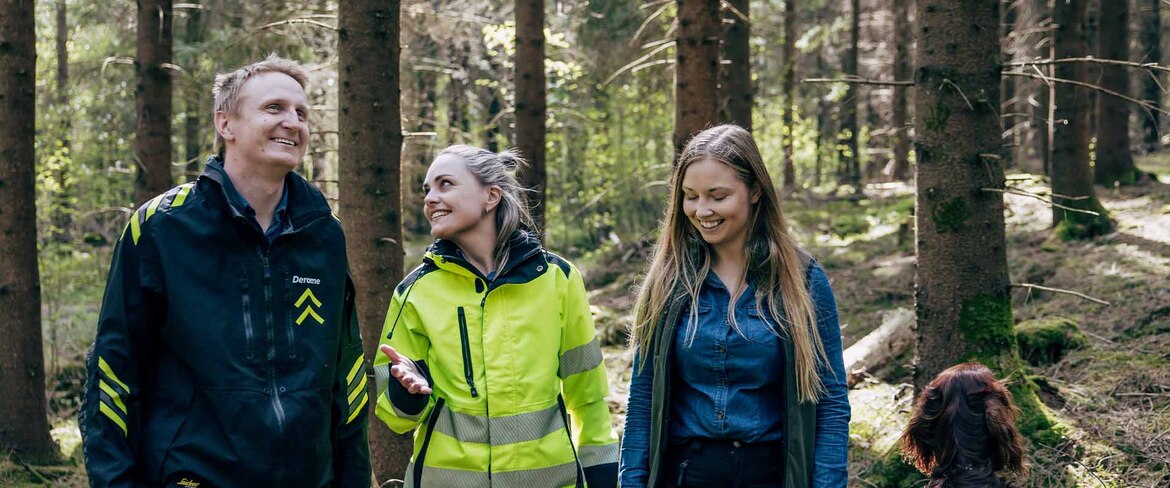 I över 75 år har skogen och våra relationer varit några av våra viktigaste resurser. Med ena foten i historien och den andra i framtiden fortsätter vi att arbeta för ett ansvarsfullt skogsbruk. Vi vill att både du som skogsägare och din skogsfastighet ska växa på bästa sätt.